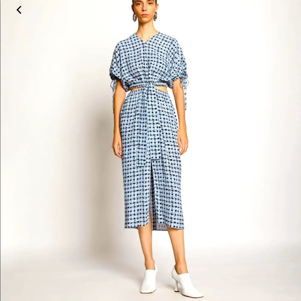 Proenza Schouler White Label Cut Out Gingham Georgette Dress
